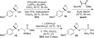 Scheme 3