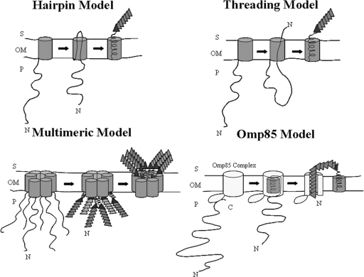 FIG. 4.