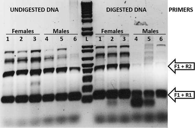 Fig. 3