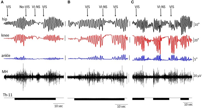 Figure 5