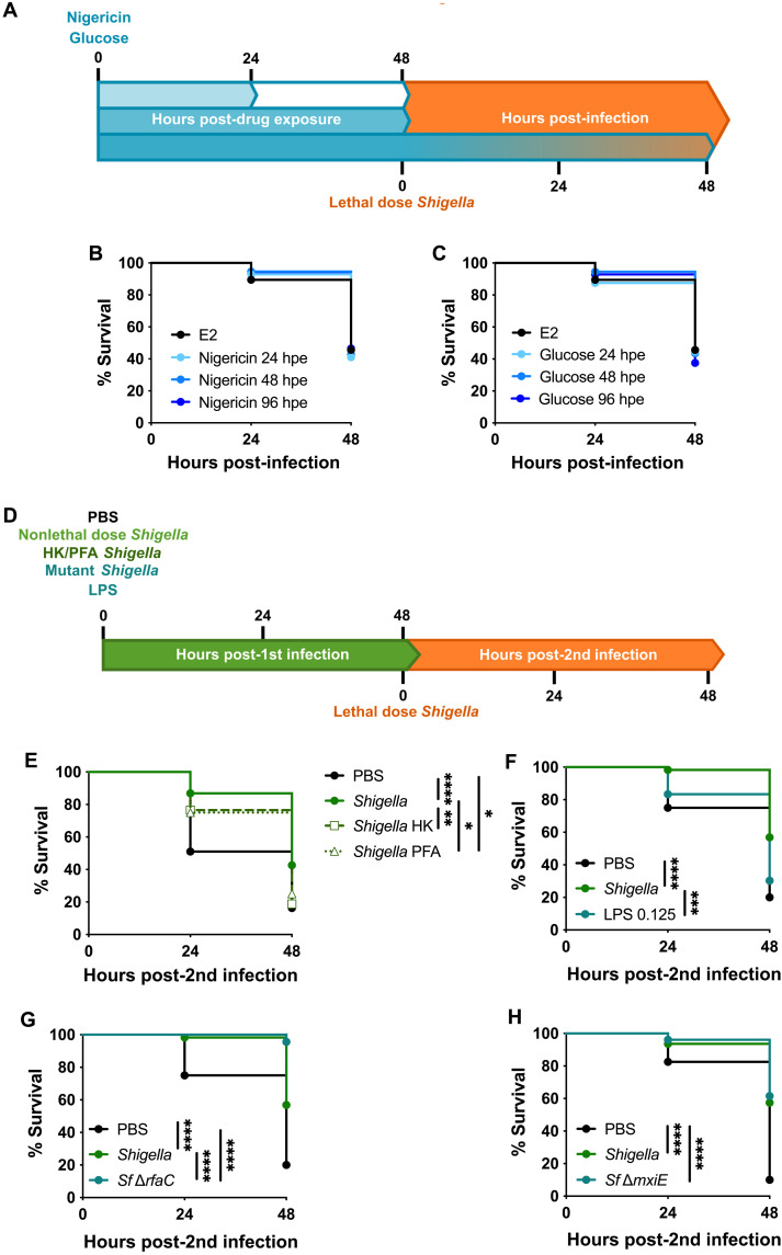 Fig. 4.