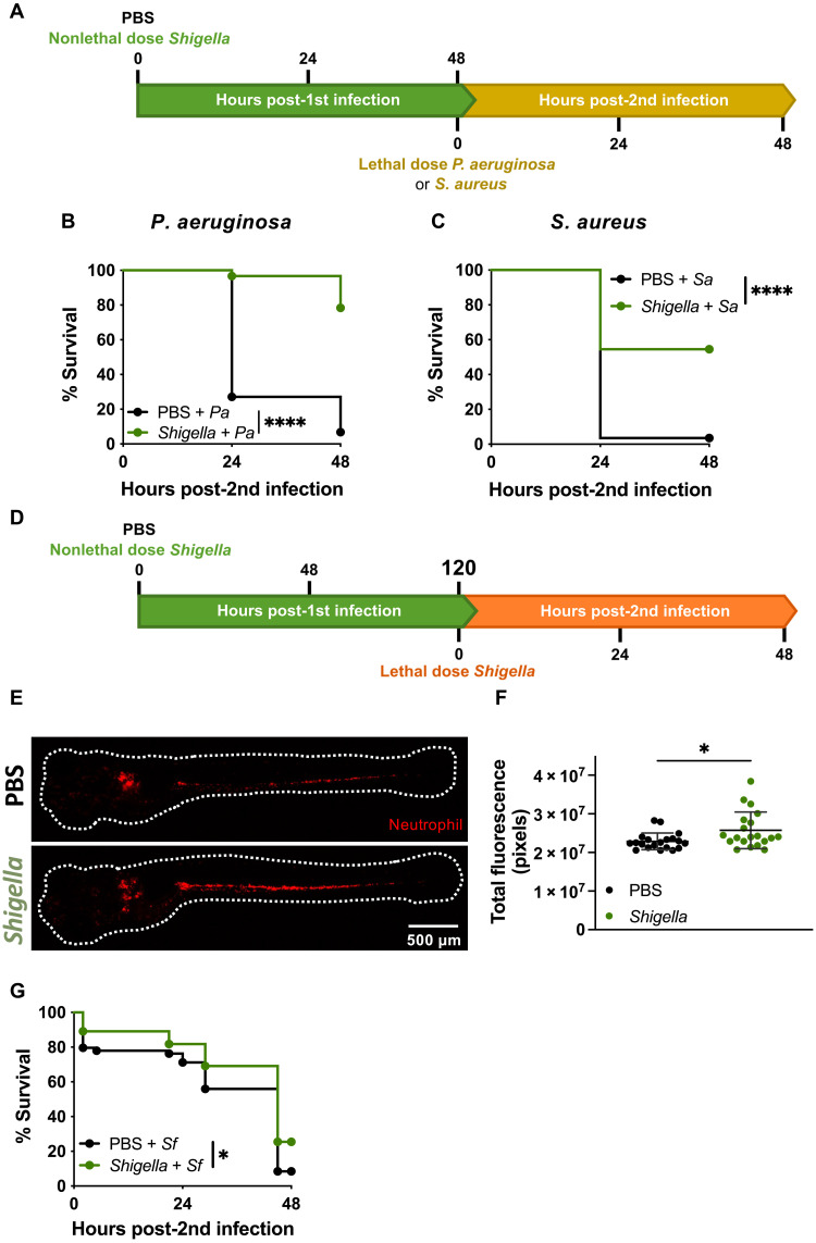 Fig. 2.