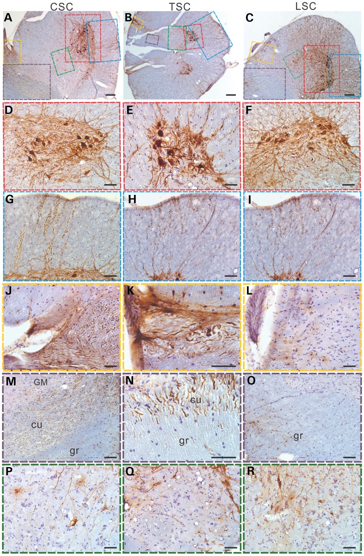 Figure 4.