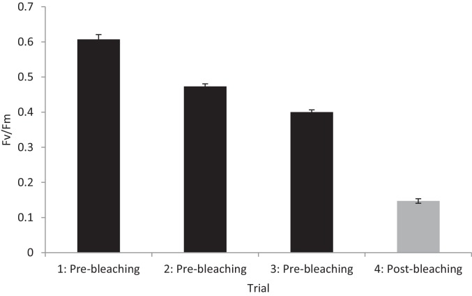 Figure 2—figure supplement 1.