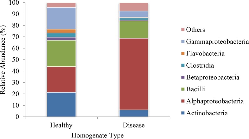 Figure 4—figure supplement 1.