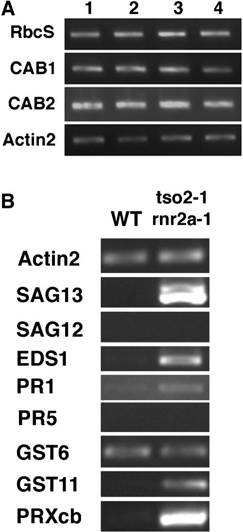 Figure 10.