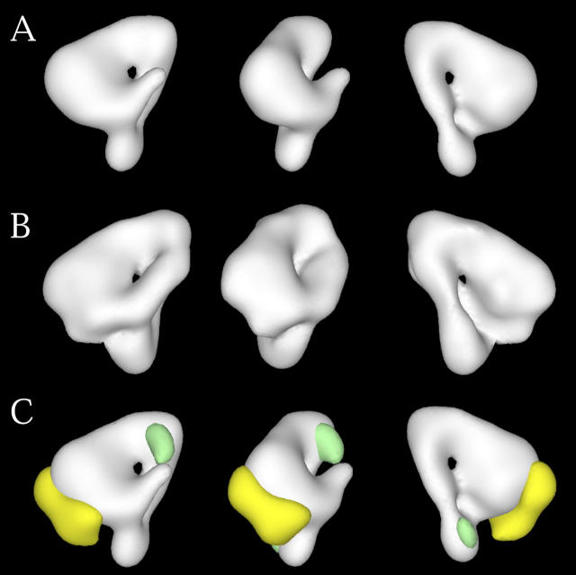 Figure 5.