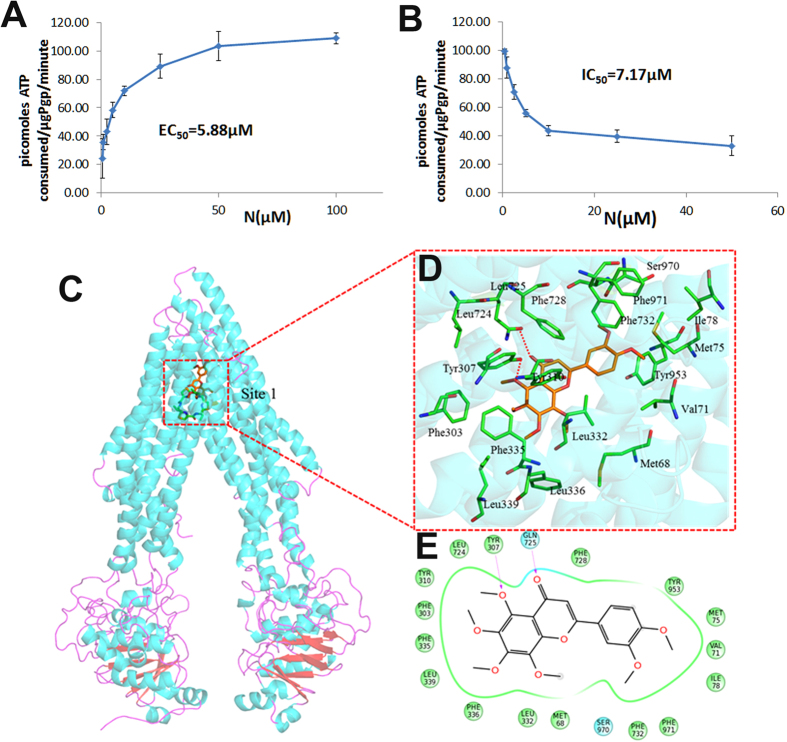 Figure 7