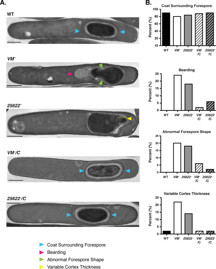 FIG 3 