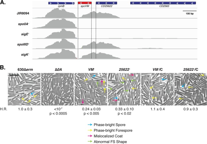 FIG 2 