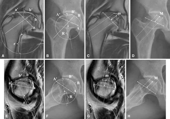 Fig. 2A–H