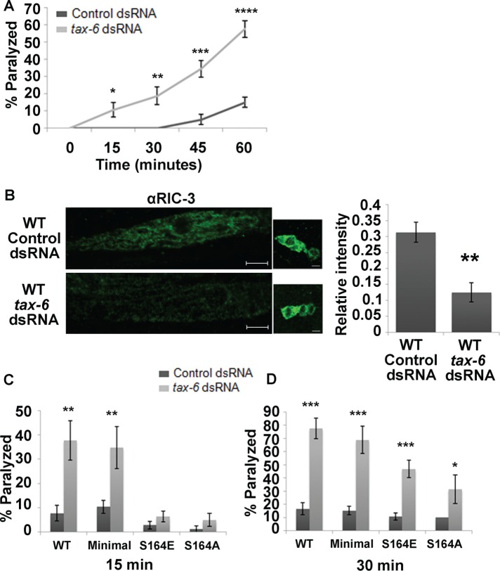 FIGURE 3: