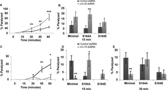 FIGURE 6: