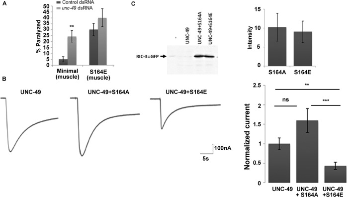 FIGURE 5: