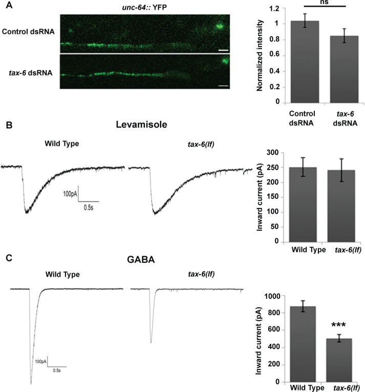 FIGURE 4: