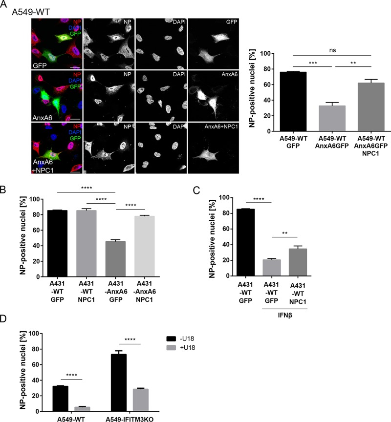 FIG 3 