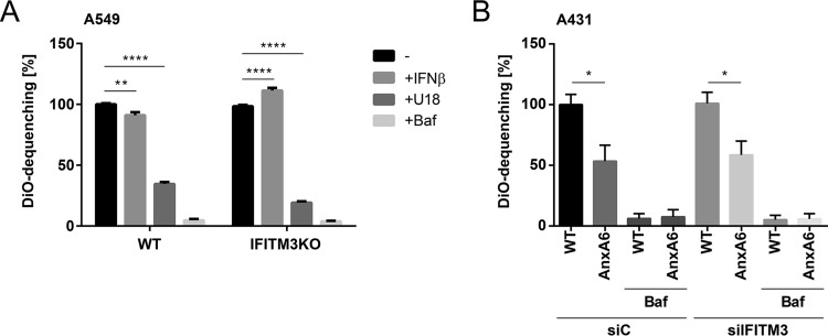 FIG 5 