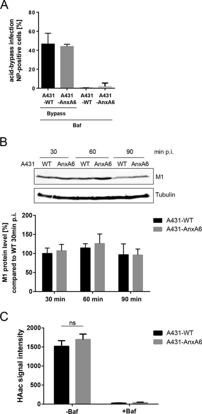 FIG 4 