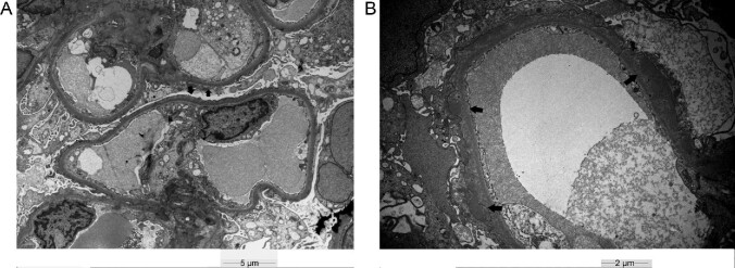 FIGURE 1: