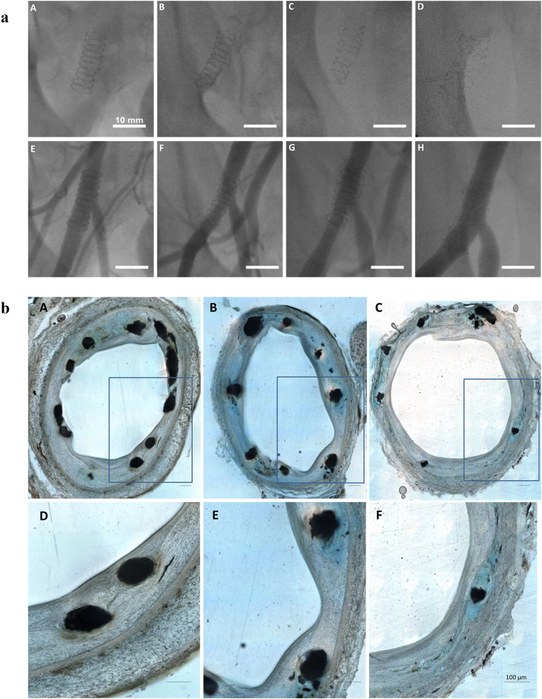 Fig. 6