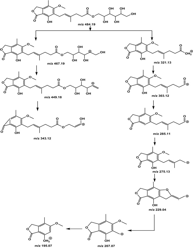 Figure 7