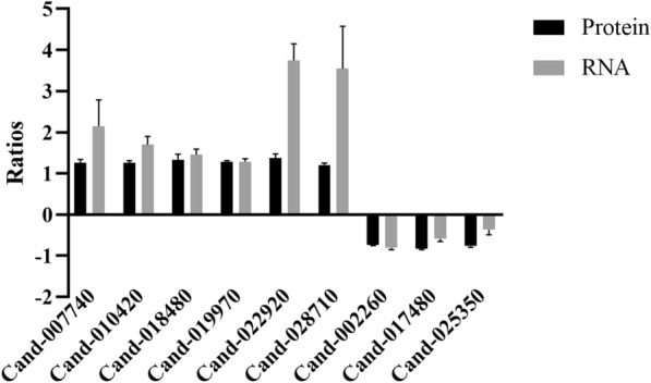 Fig. 7