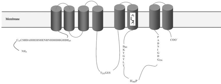 FIG. 2.