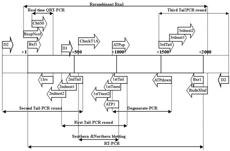 FIG. 1.