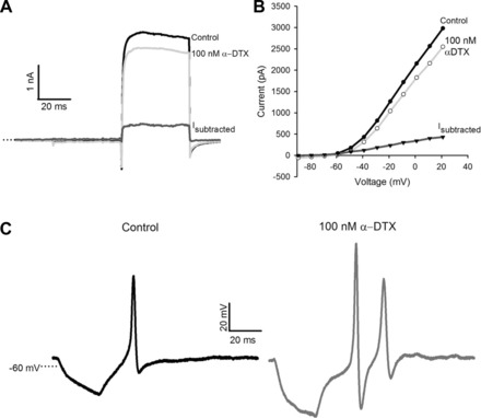 Fig. 10.