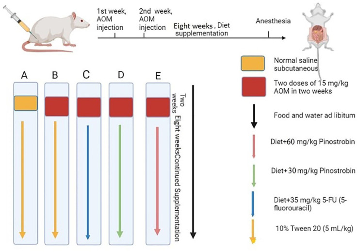 Figure 2.