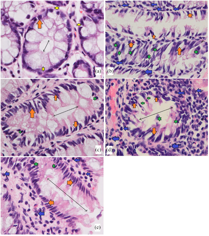 Figure 5.