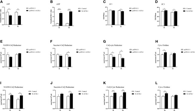 Figure 6