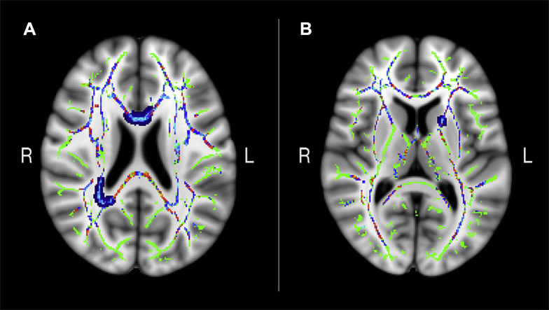 Fig. 7