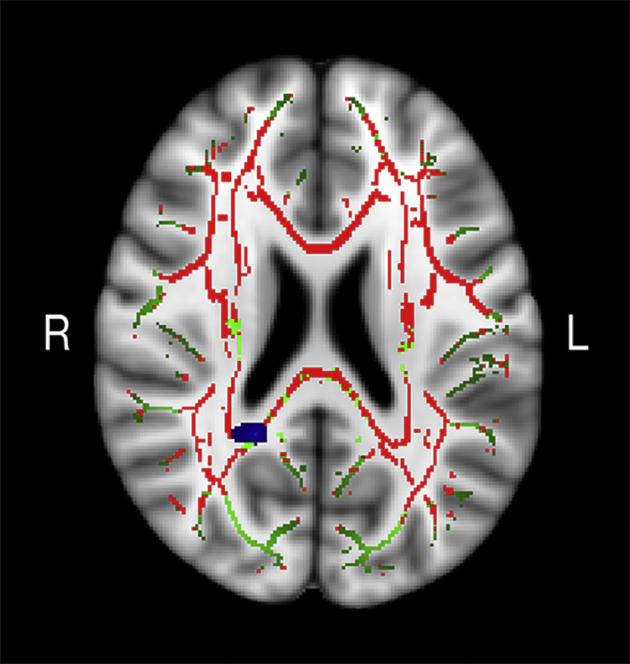 Fig. 6