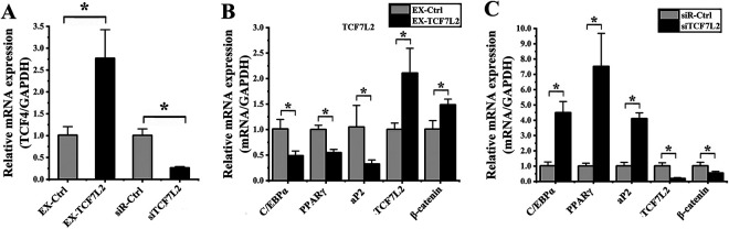 Figure 5.