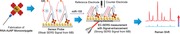 graphic file with name ADVS-7-1902477-g005.jpg