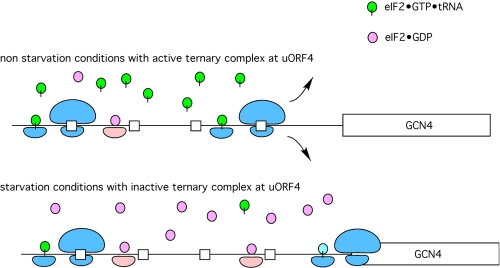 FIGURE 2.