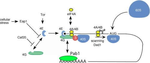 FIGURE 1.