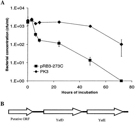 FIG. 1.