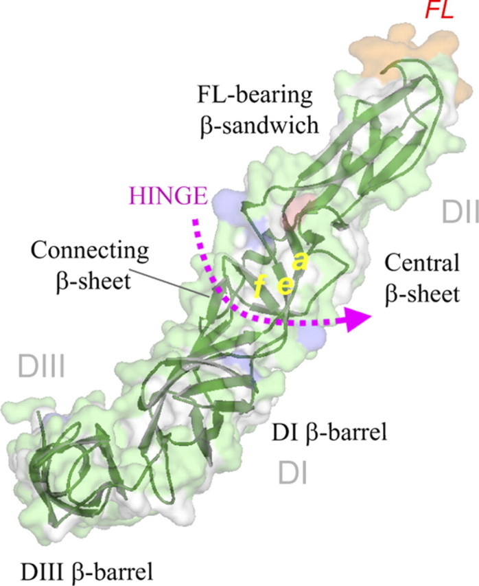 FIGURE 4.