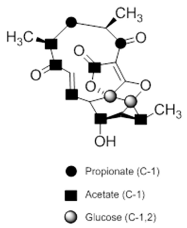 Figure 9