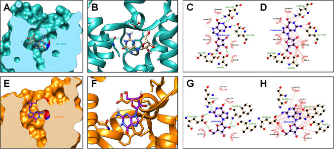 Fig. 7