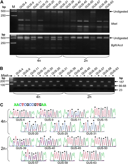 Figure 4.—