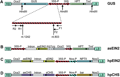 Figure 1.—