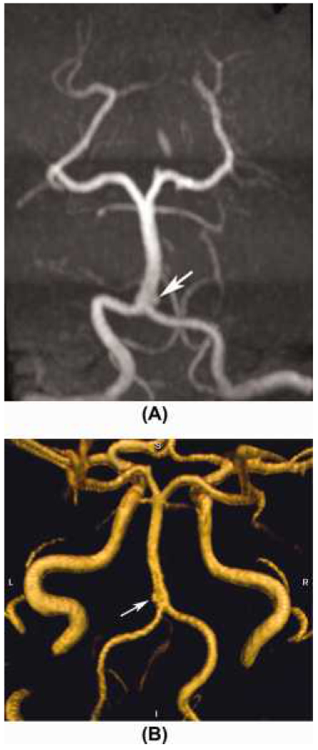 FIGURE 1.