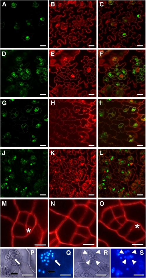 Figure 6.