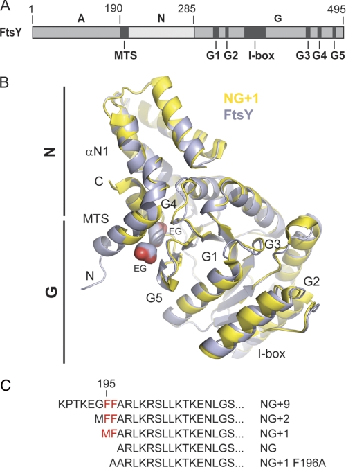 FIGURE 1.