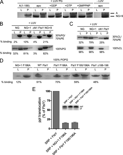 FIGURE 4.