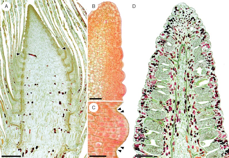 Fig. 8.