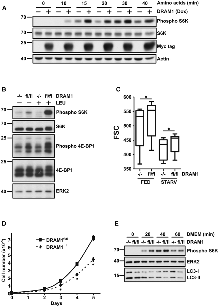 Figure 1